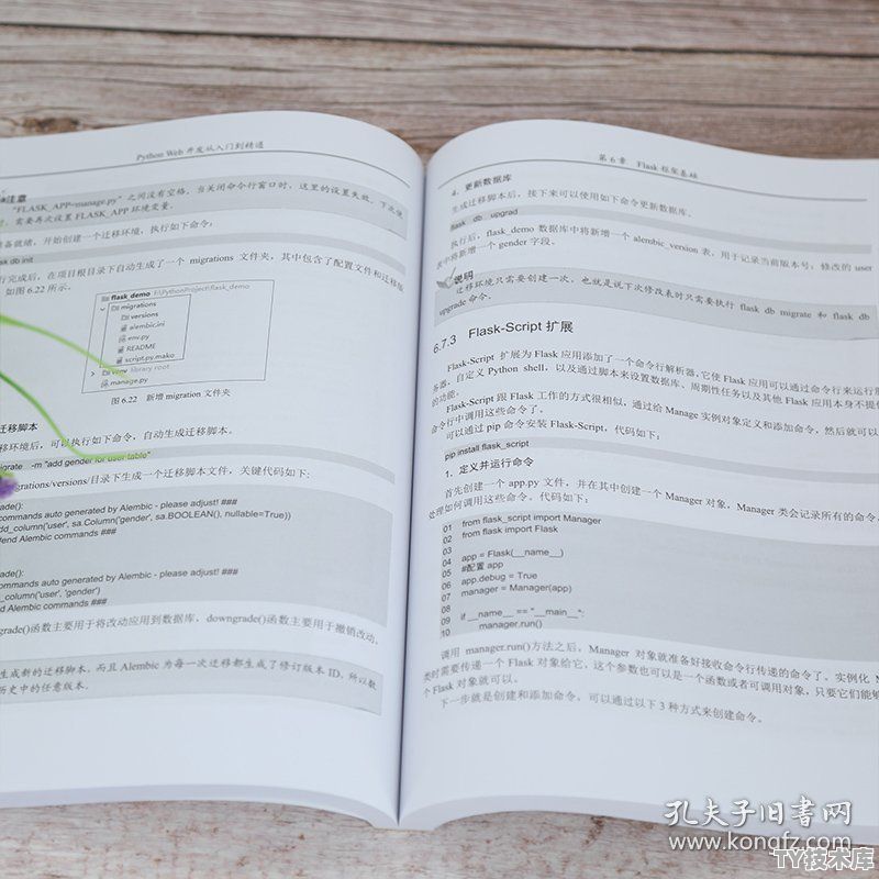 python开发web指南